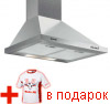 AD 1006 X