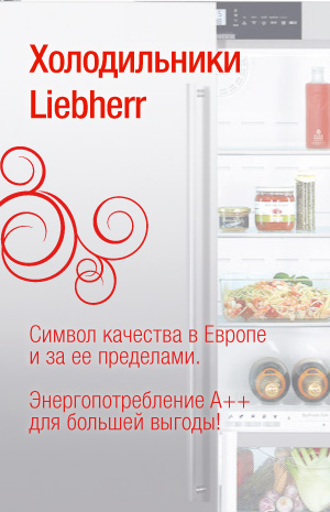 Холодильники Liebherr в Vasko.RU